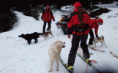 /album/laviny-2008/a100-4443-gif/