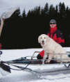 /album/laviny-2008/a100-4476-gif/