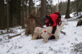 /album/laviny-2008/a100-4555-gif/