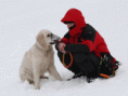 /album/laviny-2008/david038-gif/